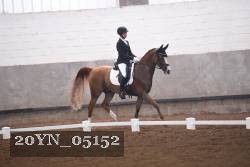 20YN_05152 thumbnail