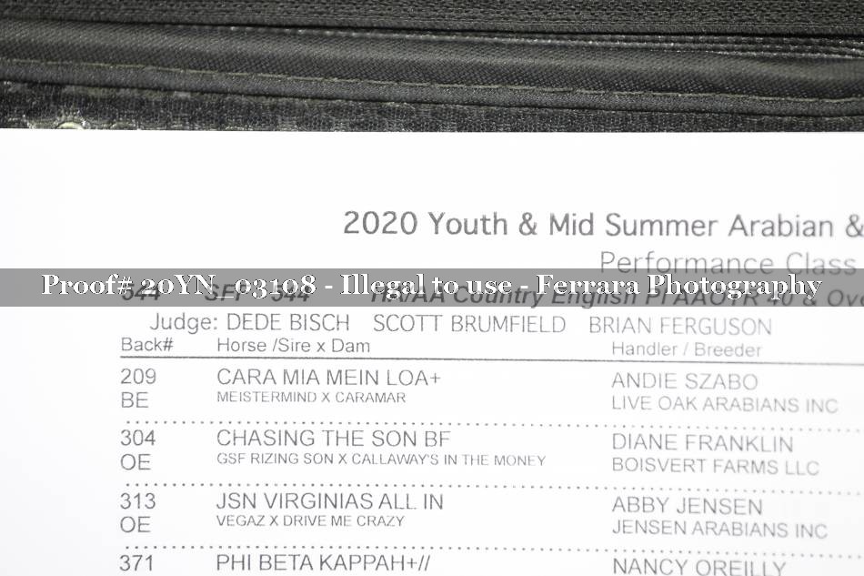 Proof Number 20YN_03108