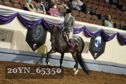 20YN_65350 thumbnail