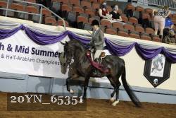 20YN_65351 thumbnail