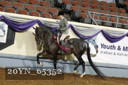 20YN_65352 thumbnail