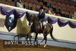 20YN_65354 thumbnail