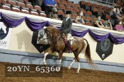 20YN_65360 thumbnail