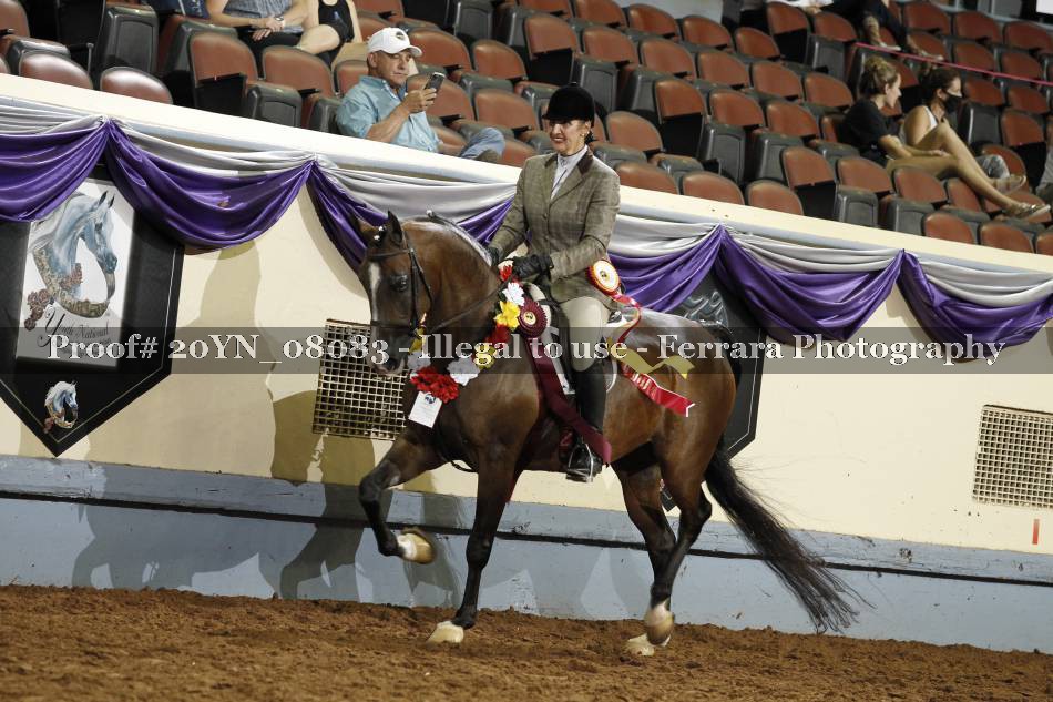 Proof Number 20YN_08083