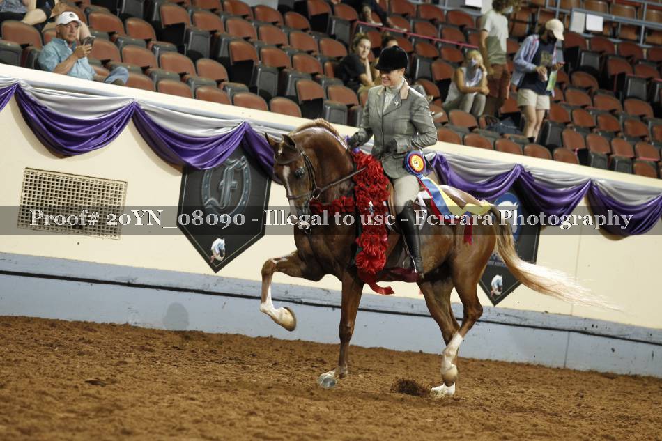 Proof Number 20YN_08090