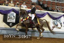 20YN_34657 thumbnail