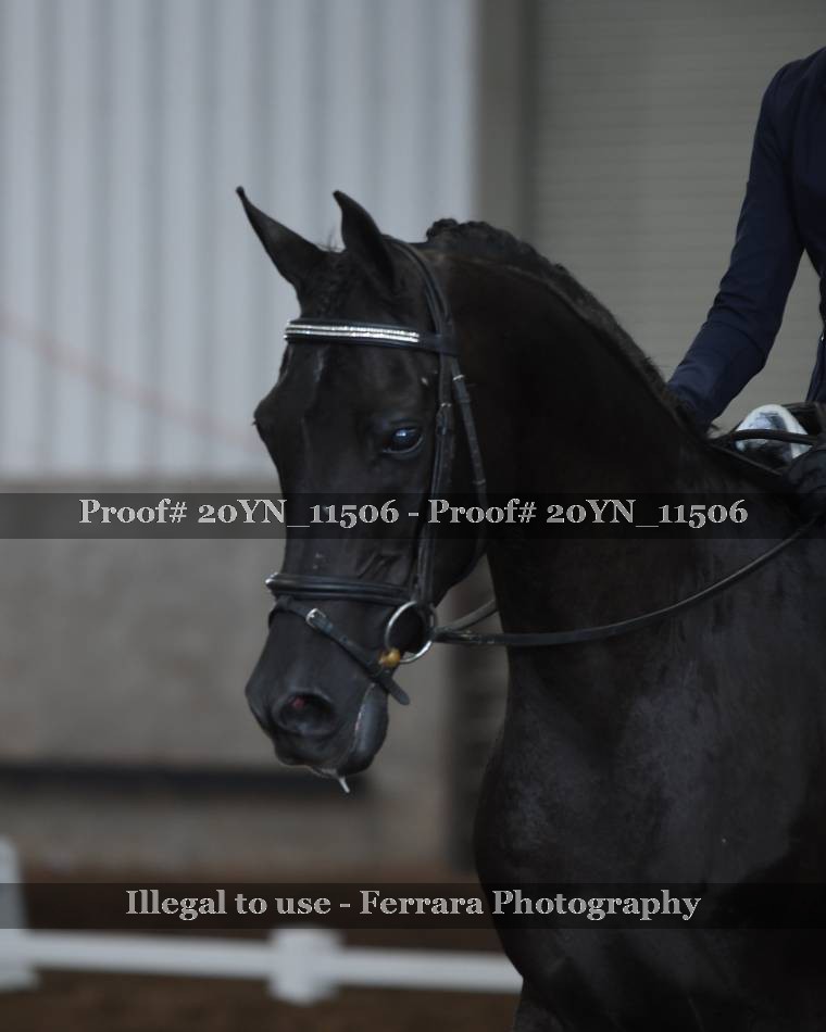 Proof Number 20YN_11506