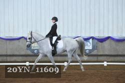 20YN_11609 thumbnail