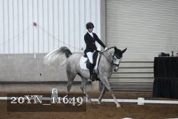 20YN_11649 thumbnail