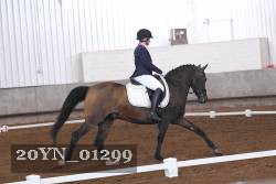 20YN_01299 thumbnail
