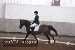 20YN_01300 thumbnail