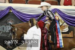20YN_38588 thumbnail