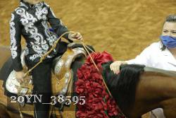 20YN_38595 thumbnail