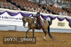 20YN_38603 thumbnail