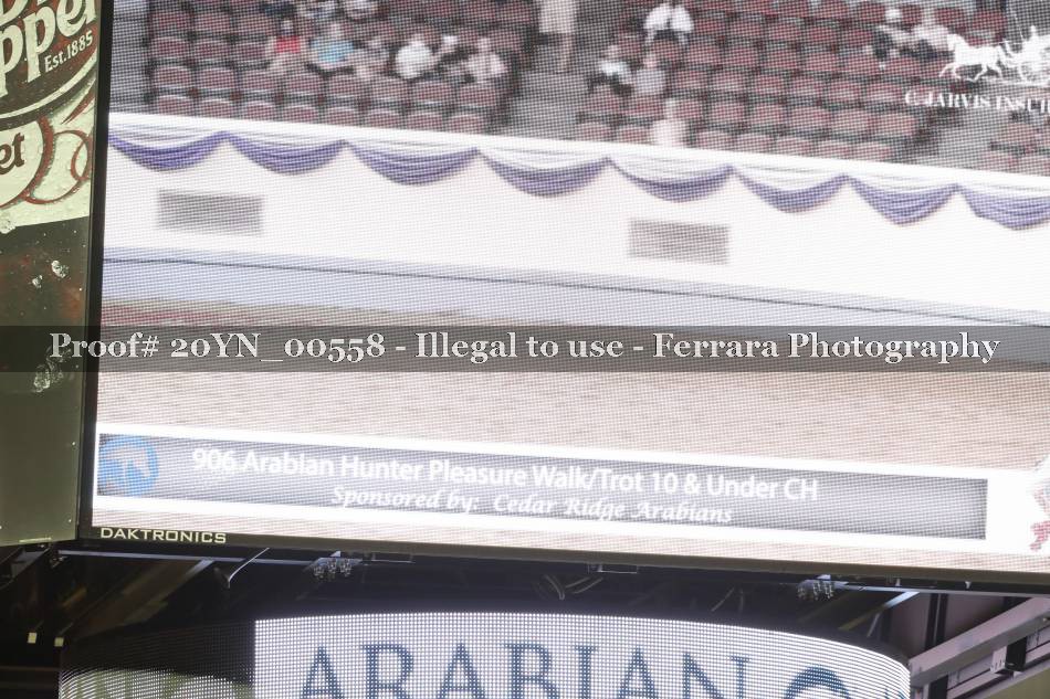 Proof Number 20YN_00558