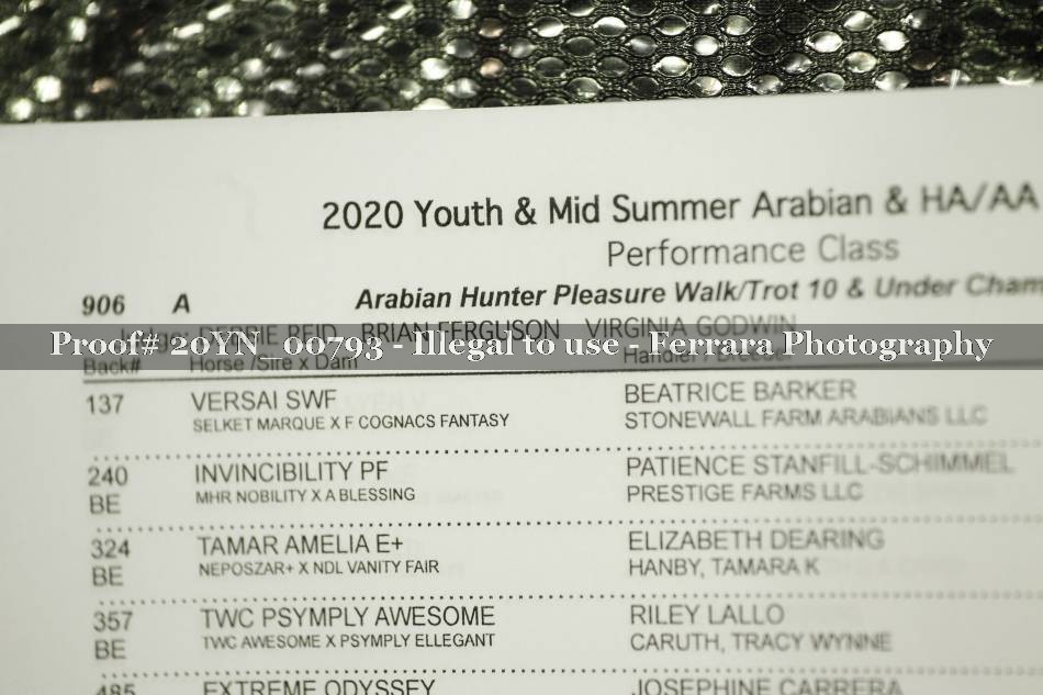 Proof Number 20YN_00793