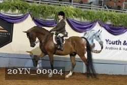 20YN_00904 thumbnail