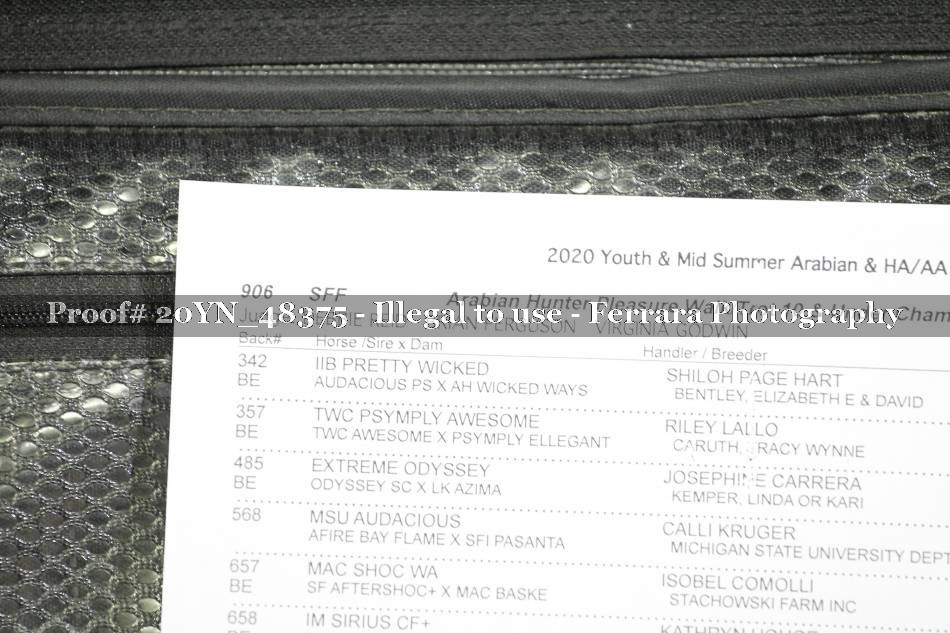 Proof Number 20YN_48375