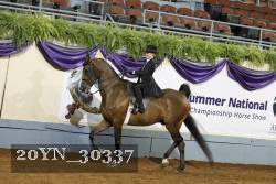 20YN_30337 thumbnail