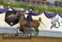 20YN_30348 thumbnail