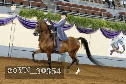 20YN_30354 thumbnail