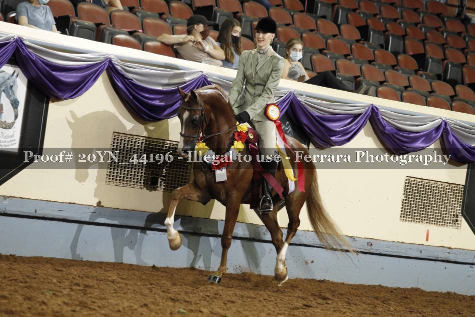 Proof Number 20YN_44196