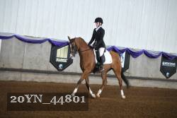 20YN_44801 thumbnail