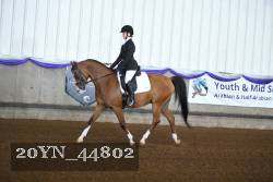 20YN_44802 thumbnail