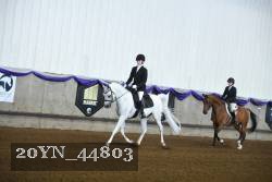 20YN_44803 thumbnail