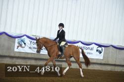 20YN_44810 thumbnail