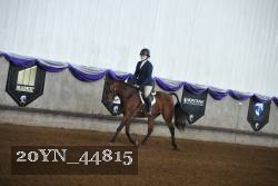 20YN_44815 thumbnail