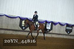 20YN_44816 thumbnail