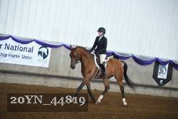 20YN_44819 thumbnail