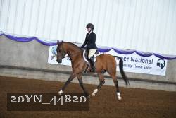 20YN_44820 thumbnail