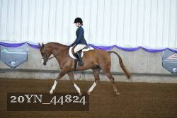 20YN_44824 thumbnail