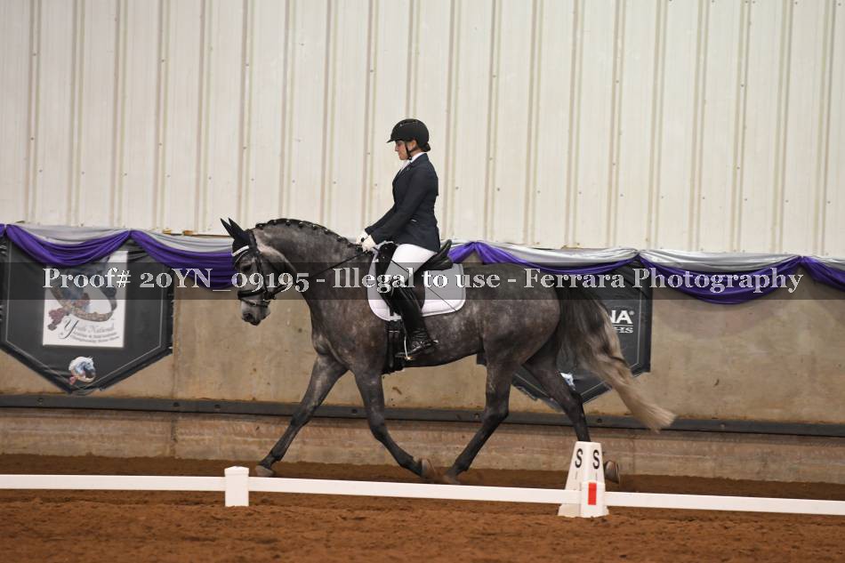 Proof Number 20YN_09195