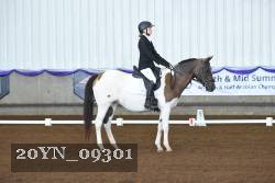 20YN_09301 thumbnail