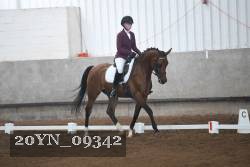 20YN_09342 thumbnail
