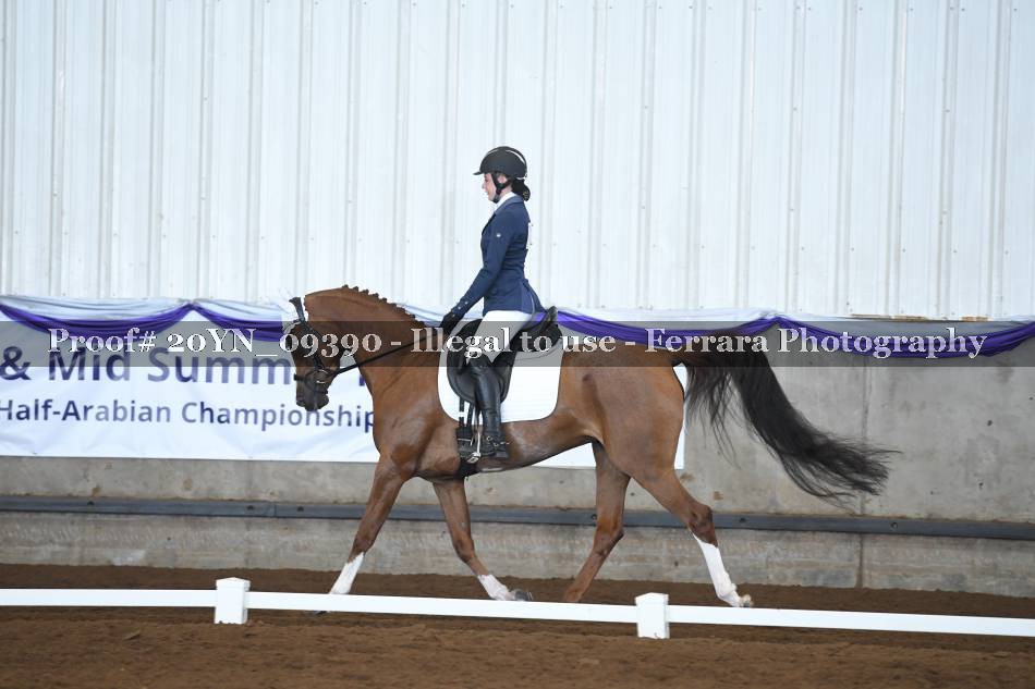 Proof Number 20YN_09390