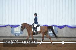 20YN_09411 thumbnail