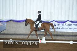 20YN_09429 thumbnail