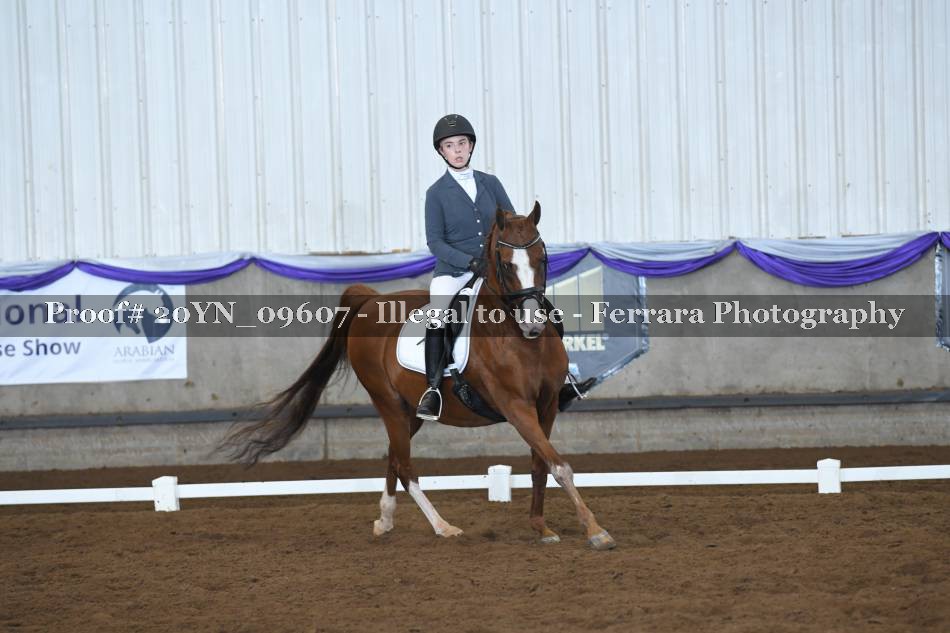 Proof Number 20YN_09607