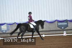 20YN_16482 thumbnail