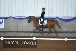 20YN_16493 thumbnail