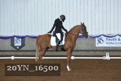 20YN_16500 thumbnail