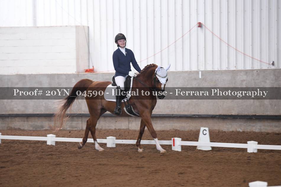 Proof Number 20YN_04590