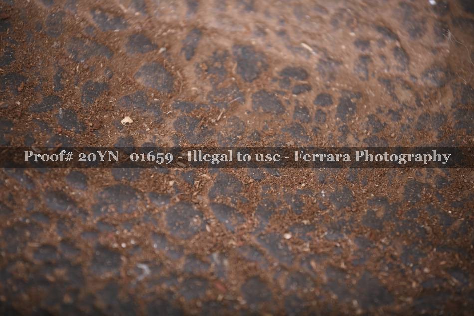Proof Number 20YN_01659