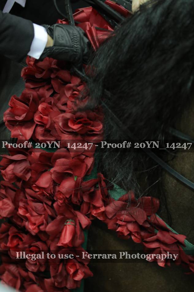 Proof Number 20YN_14247