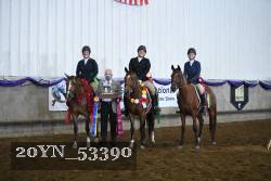20YN_53390 thumbnail