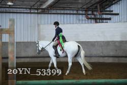 20YN_53399 thumbnail